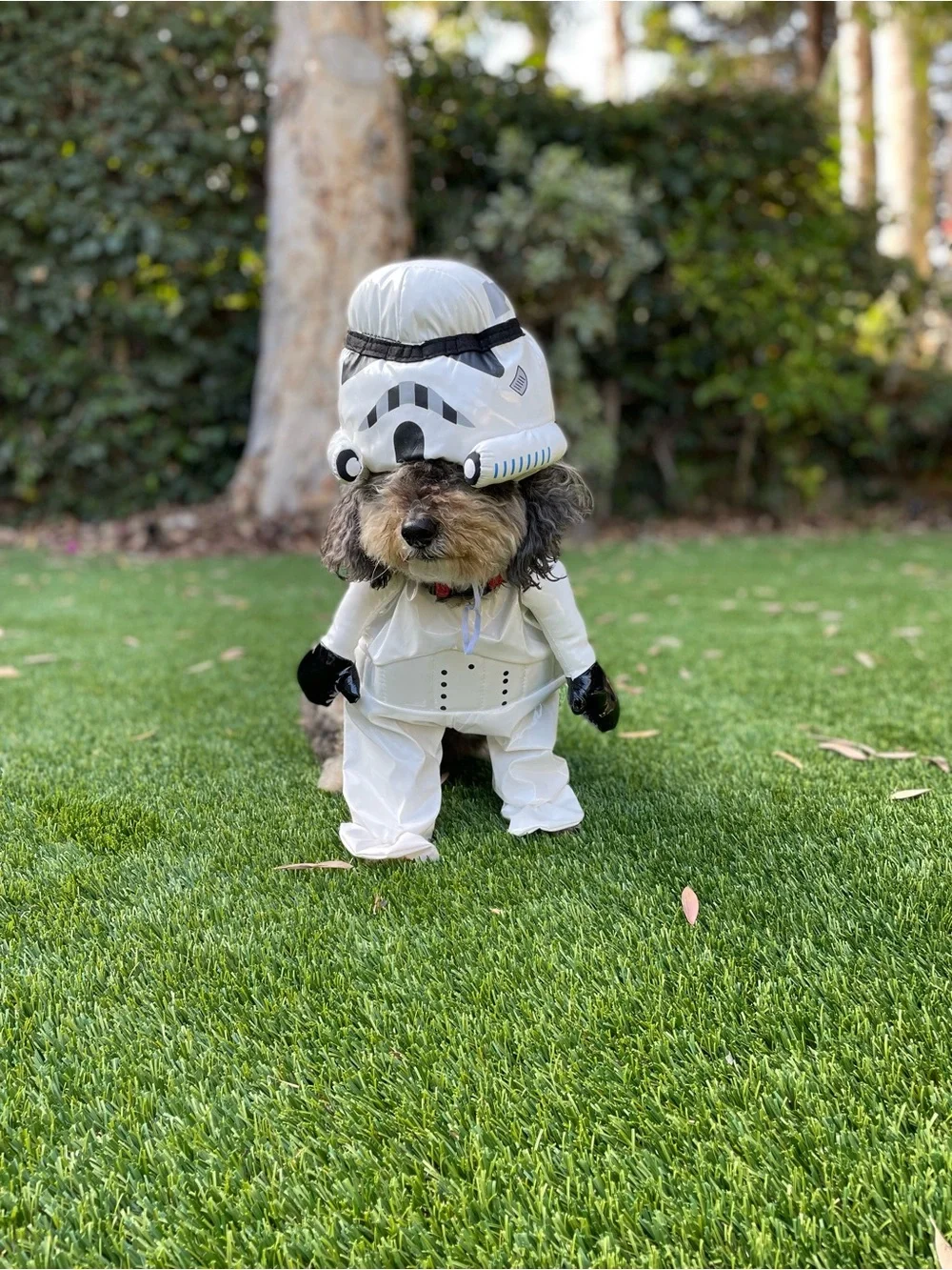 Dog One-Piece Stormtrooper Style Suit with Helmet hat (fits 20 lb dog)
